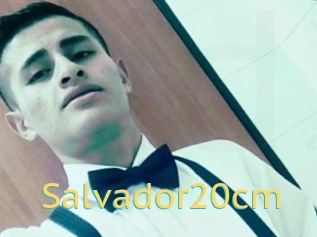 Salvador20cm