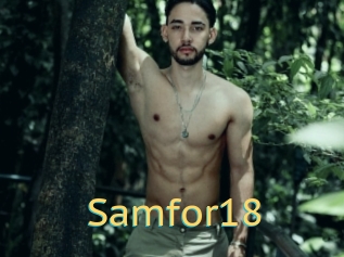 Samfor18