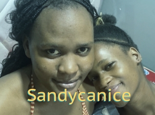 Sandycanice
