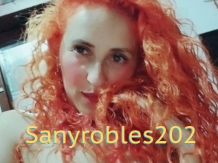 Sanyrobles202