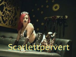 Scarlettpervert