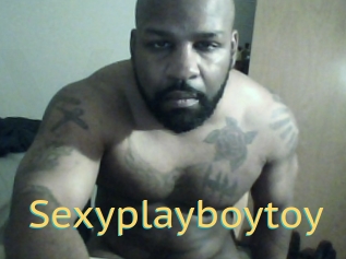 Sexyplayboytoy