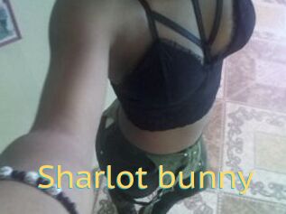 Sharlot_bunny