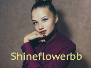 Shineflowerbb