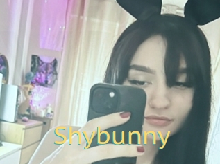 Shybunny