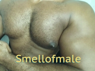 Smellofmale