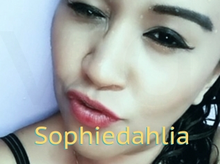 Sophiedahlia