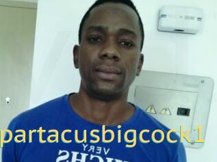 Spartacusbigcock1
