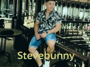 Stevebunny