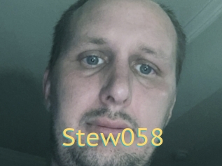 Stew058