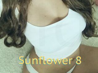 Sunflower_8