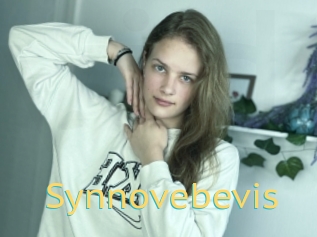 Synnovebevis