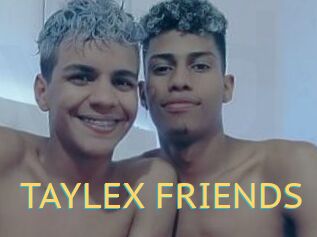 TAYLEX_FRIENDS