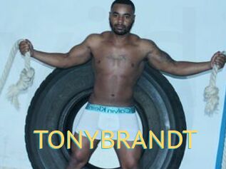 TONYBRANDT