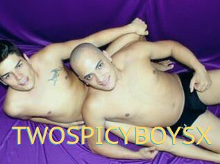 TWOSPICYBOYSX