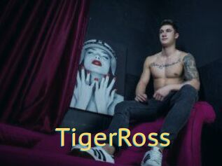 TigerRoss Videos 2 X