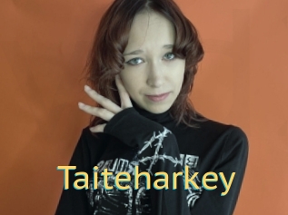Taiteharkey