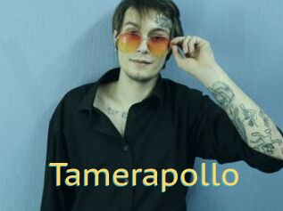 Tamerapollo
