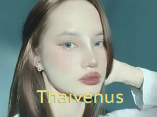 Thaivenus