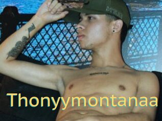 Thonyymontanaa