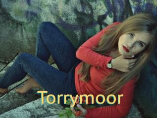 Torrymoor