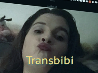 Transbibi