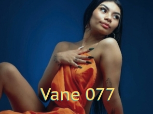 Vane_077