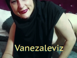 Vanezaleviz