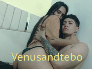 Venusandtebo