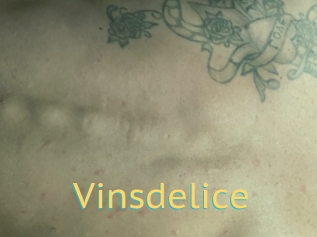 Vinsdelice