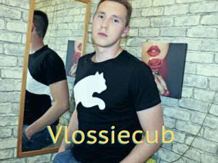 Vlossiecub