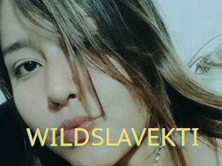 WILDSLAVEKTI