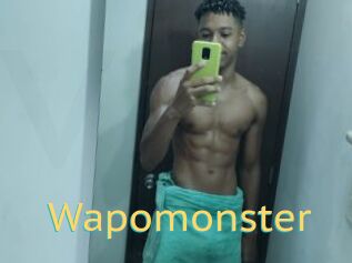 Wapomonster Videos 2 X