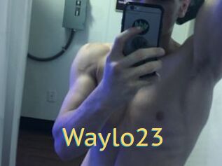 Waylo23