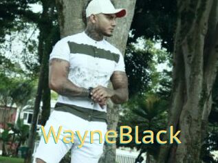 WayneBlack Videos 2 X