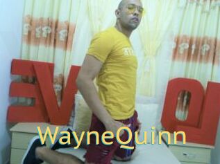 WayneQuinn