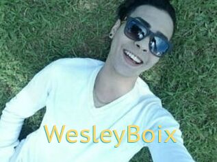 Wesley_Boix