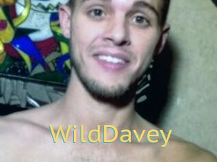 WildDavey