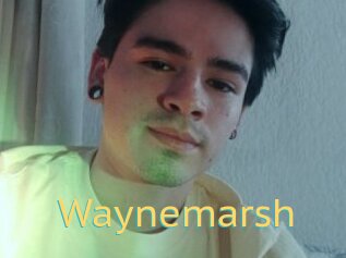 Waynemarsh