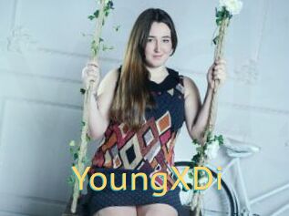 YoungXDi