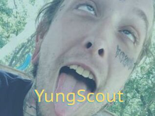 YungScout