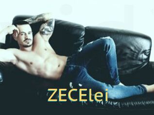 ZECElei