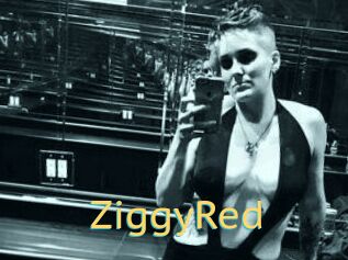 ZiggyRed