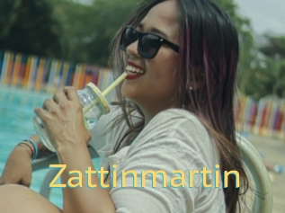 Zattinmartin