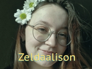 zeldaalison Videos 2 X