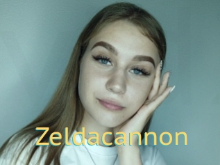 Zeldacannon