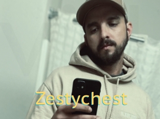 Zestychest