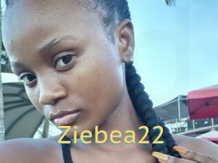 Ziebea22